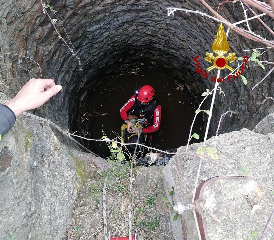 Siniscola, cane cade in un pozzo profondo cinque metri