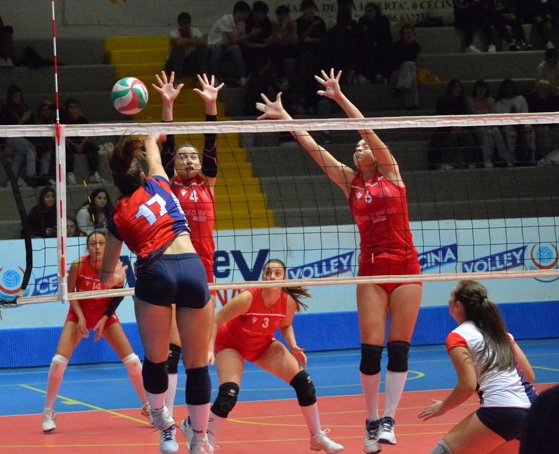 Cecina, coach Turchi lascia dopo la sconfitta nel derby