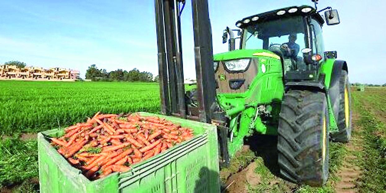«La Regione ha abbandonato 500 imprese agricole giovanili»