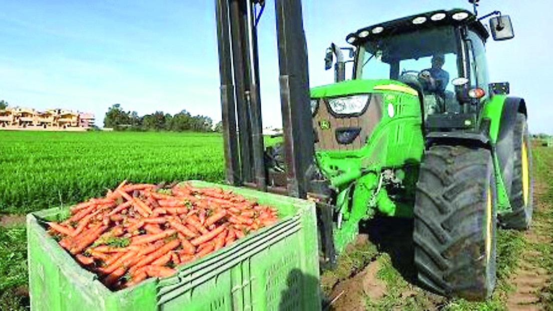 «La Regione ha abbandonato 500 imprese agricole giovanili»
