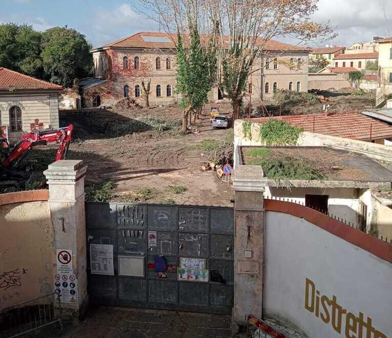 Pisa, alberi abbattuti all'ex distretto militare: «Motivazioni poco chiare»<br>
