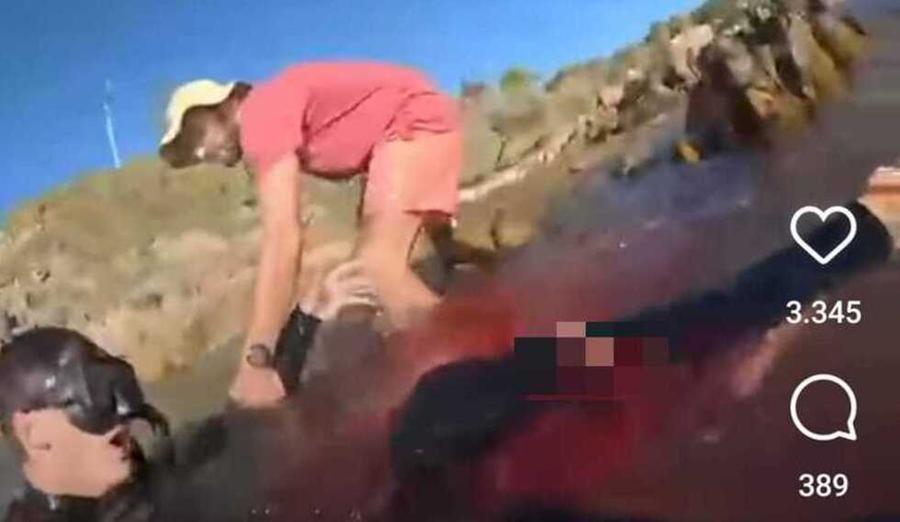 
	L'attacco dello squalo e il salvataggio ripreso dalla telecamera di Matteo

