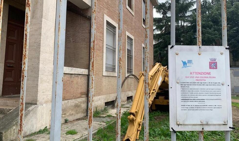 Il cortile della Bonifica in via Ximenes dove gravitano gli ultimi gatti della colonia
