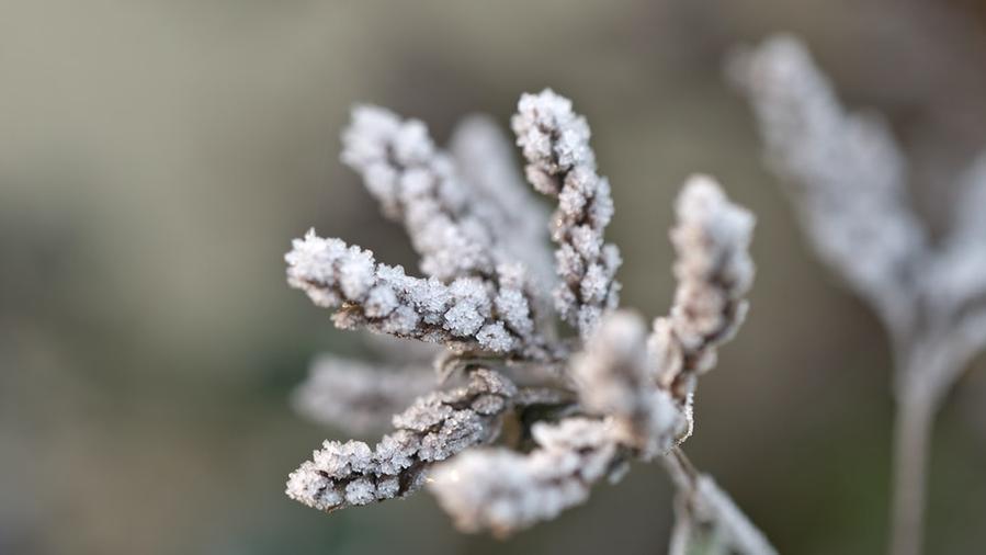 Meteo in Toscana, tornano freddo e gelate prima di Natale: la previsione