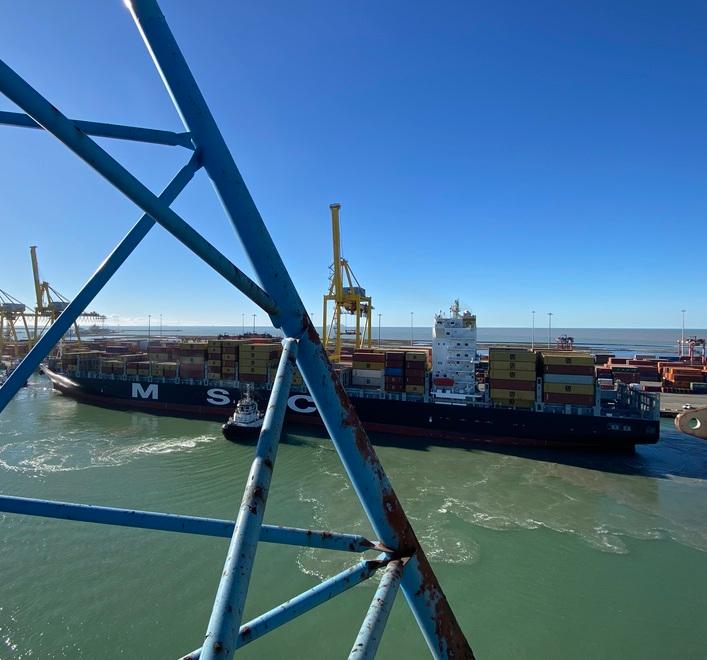 Una porta container di Msc in Tdt