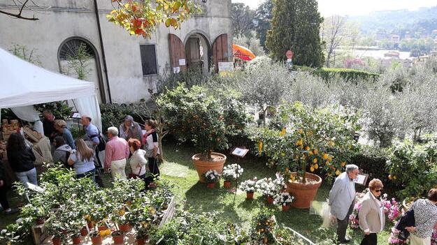 Pescia, altre due ipotesi per l’Anzilotti. «Alberghiero o agrario di Pistoia»