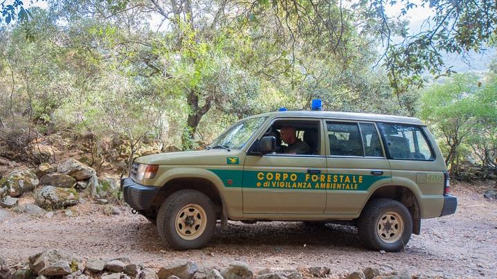 Tredici roghi in 4 giorni nella campagna di Samassi: arrestato il presunto incendiario