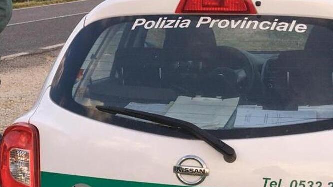 Ferrara, caccia alle multe estere. E la Provincia corre ai ripari
