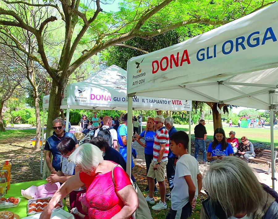 Donazioni di organi in aumento, ma calano i trapianti