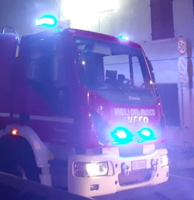 Incendio nel rifugio di animali a Campogalliano: «Ci siamo intossicati per salvarli»