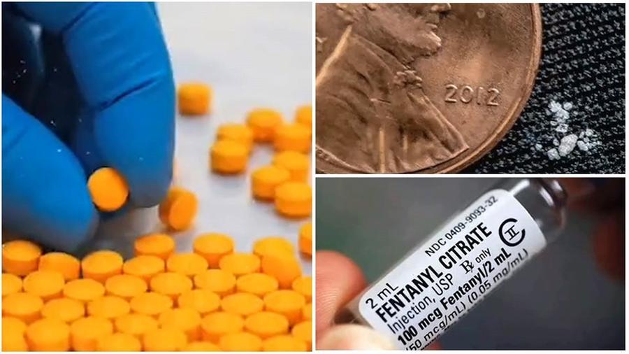 
	Il Fentanyl nelle diverse forme in cui &egrave; possibile reperirlo

