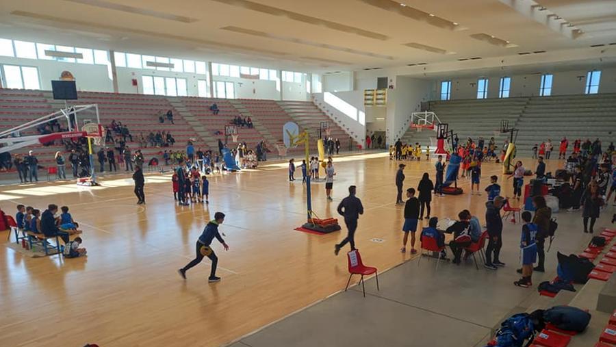 
	Un momento della 12 ore di minibasket dello scorso anno organizzata dall&#39;Azzurra Basket

