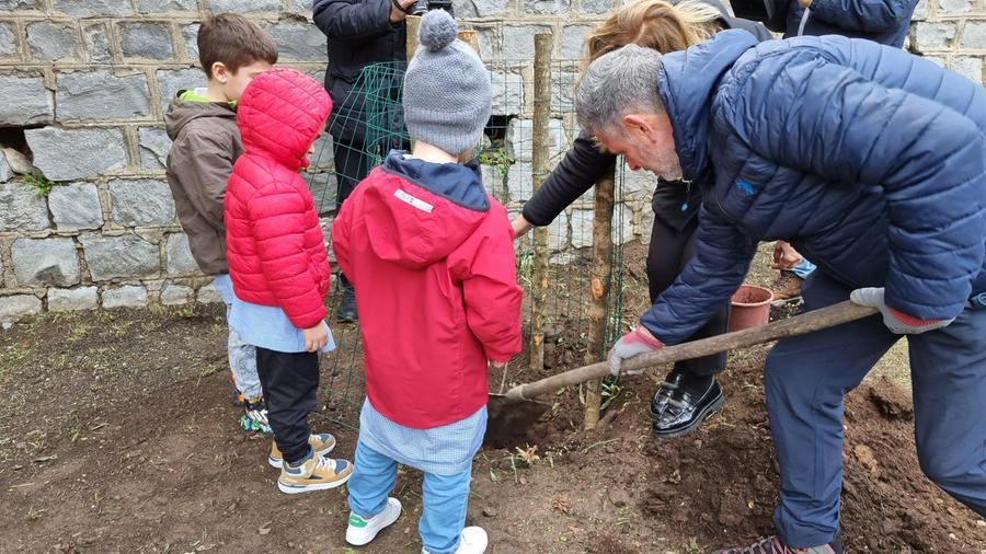 
	La messa a dimora di una delle due piantine

