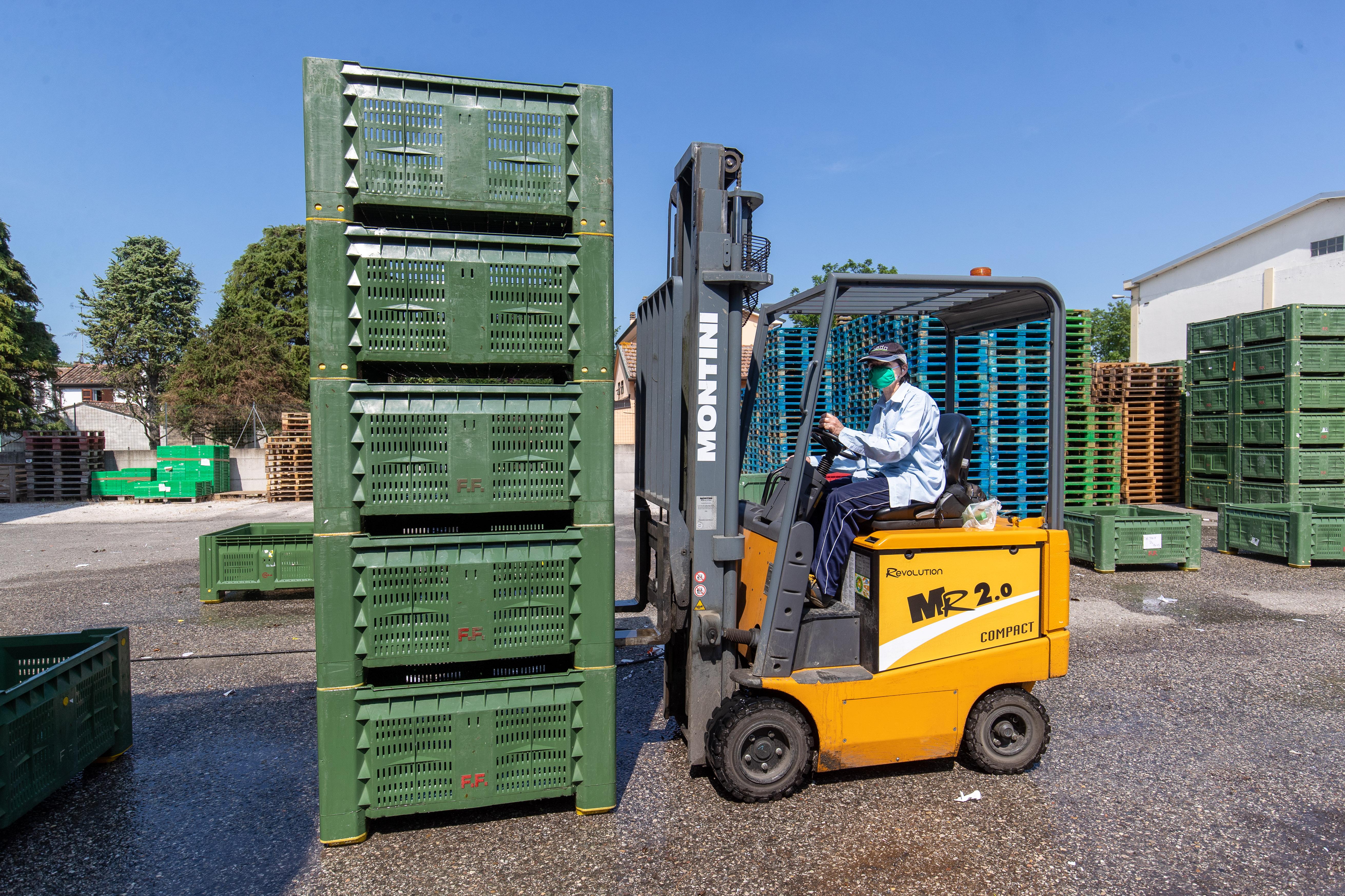 Cooperative, mille posti vacanti fra Ferrara e Modena: «Mancano facchini e ingegneri»