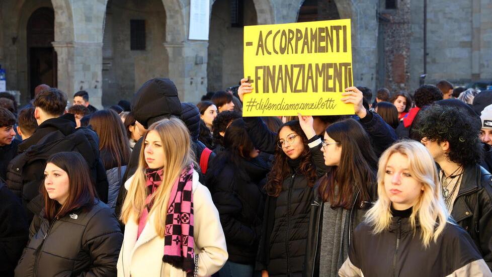 Alcuni studenti dell’Agrario Anzilotti di Pescia, con un cartello che contesta il previsto accorpamento (foto Nucci)