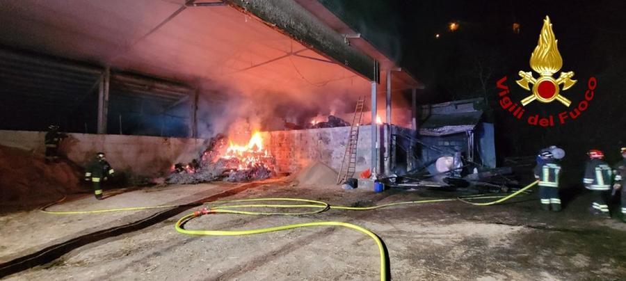 Sestola, incendio in una stalla: salvi i 140 capi di bestiame