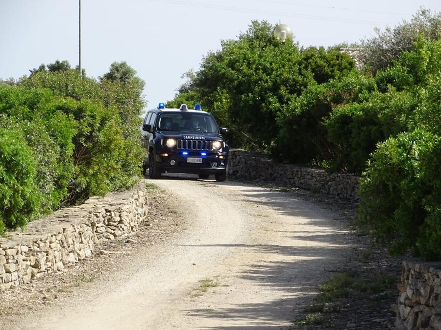 Donna aggredita da un cane lasciato incustodito a Castiadas, denunciato il proprietario
