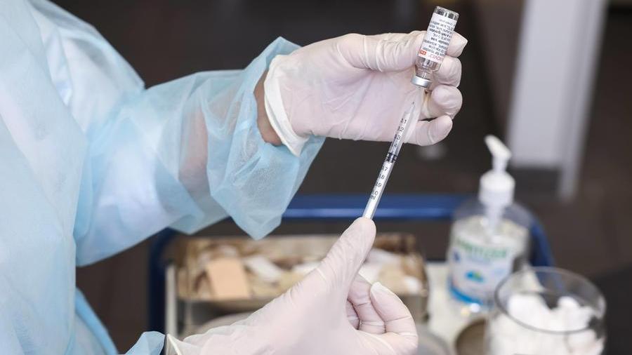 Livorno, open day anti Covid: ecco dove vaccinarsi