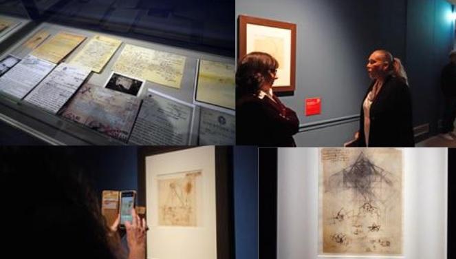 Al Museo della Città di Livorno settanta opere di Leonardo Da Vinci: quando e come visitarla