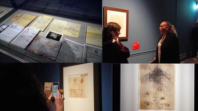 Al Museo della Città di Livorno settanta opere di Leonardo Da Vinci: quando e come visitarla