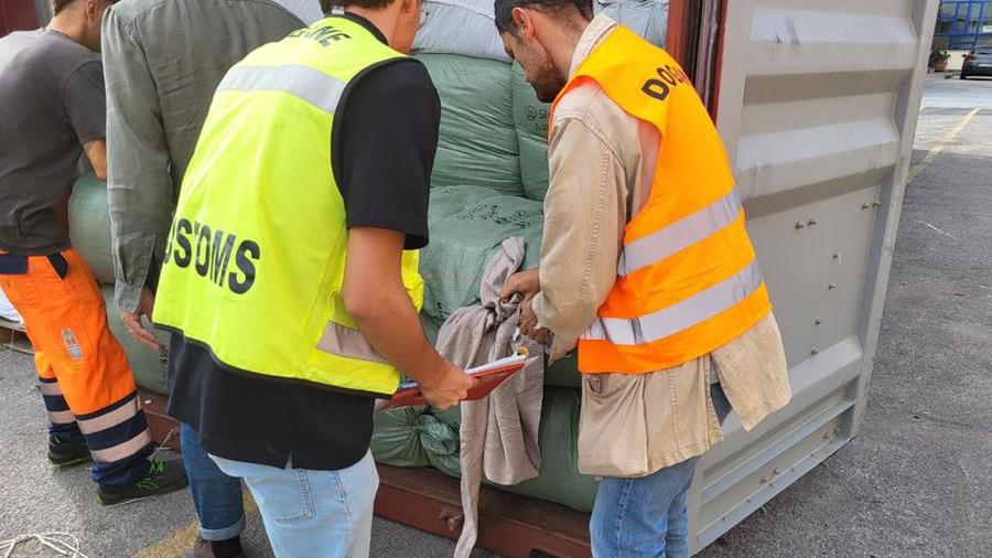 Livorno, importano maglioni non dichiarando il vero valore: maxi multa