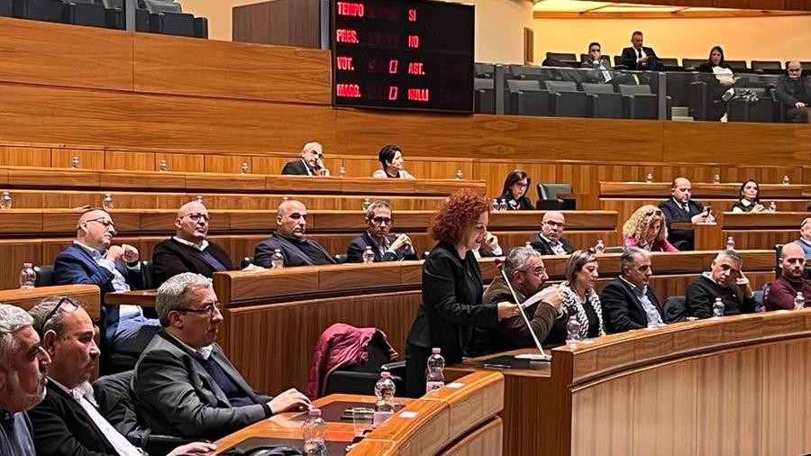 L'intervento di Paola Secci sindaca di Sestu agli Stati generali in Consiglio regionale <em>(foto Mario Rosas)</em>