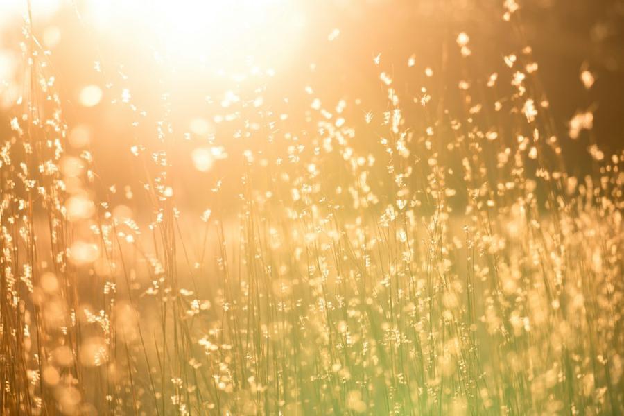 Il meteo delle feste in Toscana: «Caldo e umido, ma non scomodiamo il cambiamento climatico»