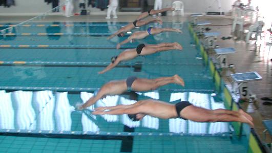 
	Una gara di nuoto alla piscina comunale di Oristano

