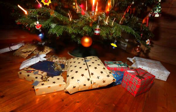«Dove butto la carta dei regali o l’albero?». Ecco tutte le risposte ai dubbi dei modenesi per le festività