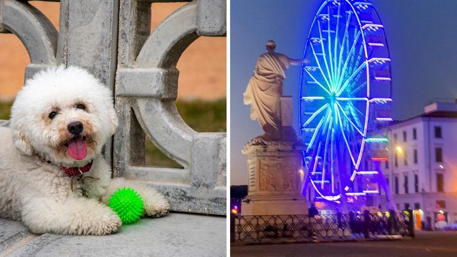 Livorno, Laura Bolognesi e il suo buongiorno in due scatti