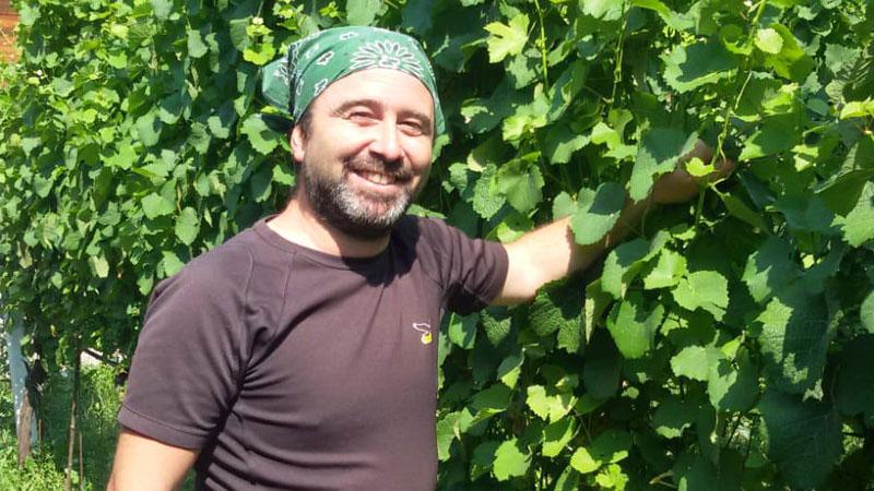 Valerio Mazzoni in mezzo alla vigna