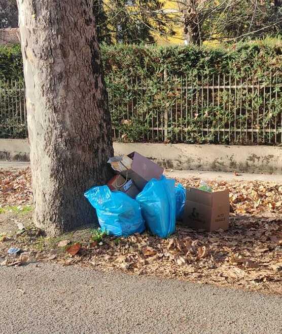 Modena, cambia il giorno di raccolta: così il pattume è in strada a Natale<br type="_moz" />
