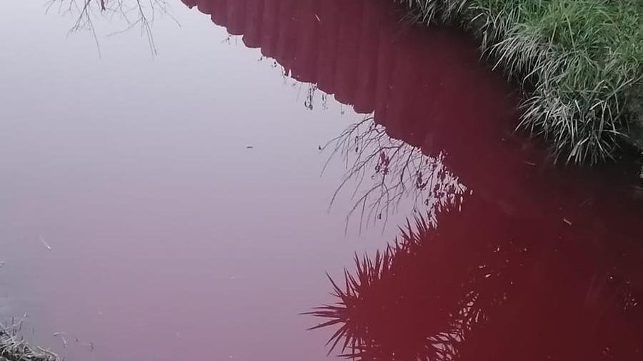 “Nel fosso di Stagno sversati conservante chimico e colorante”. Il Comune sporge denuncia
