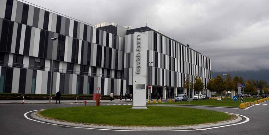 
	L'ospedale Noa di Massa

