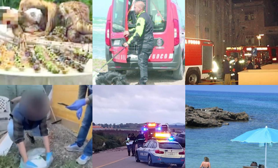 Ecco le 30 notizie più lette del 2023 sul sito della Nuova Sardegna