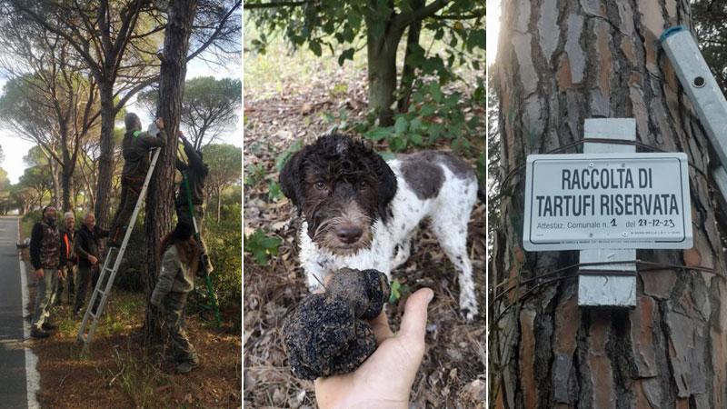 I soci della Tartufai della Maremma grossetana all’opera per installare i cartelli a protezione dell’area riservata e un magnifico cane da tartufo
