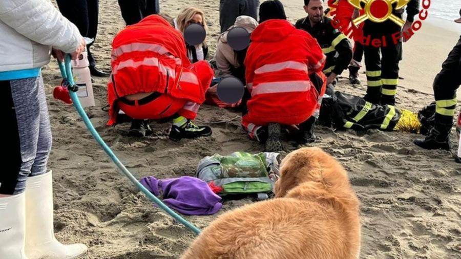 
	L'uomo soccorso dal personale sanitario e il cane sopravvissuto al mare in tempesta

