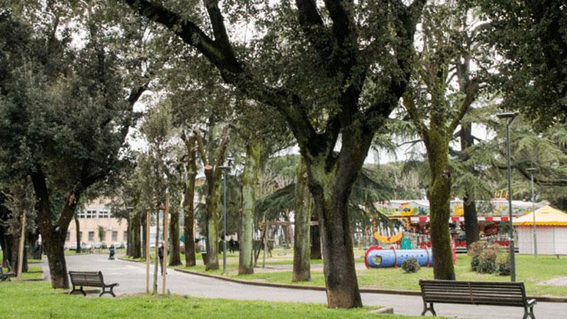 
	I giardini di piazza Matteotti

