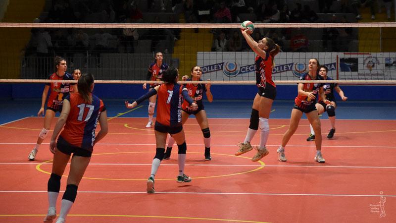 Volley Cecina. Un anno da ricordare. «Puntiamo su agonismo e qualità»<br>
