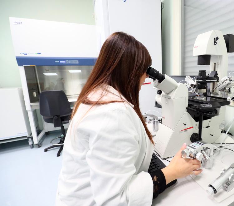 Ferrara, diagnosi preimpianto: «Trasparenza violata», assegnazione da rifare