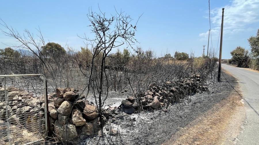 Le campagne del paese dopo l'incendio di fine luglio del 2021