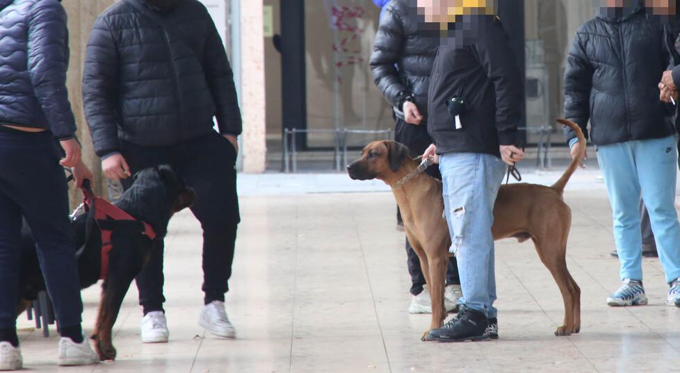 «L’Isolato San Rocco è ormai la casa dei balordi. I controlli? Una presa in giro»