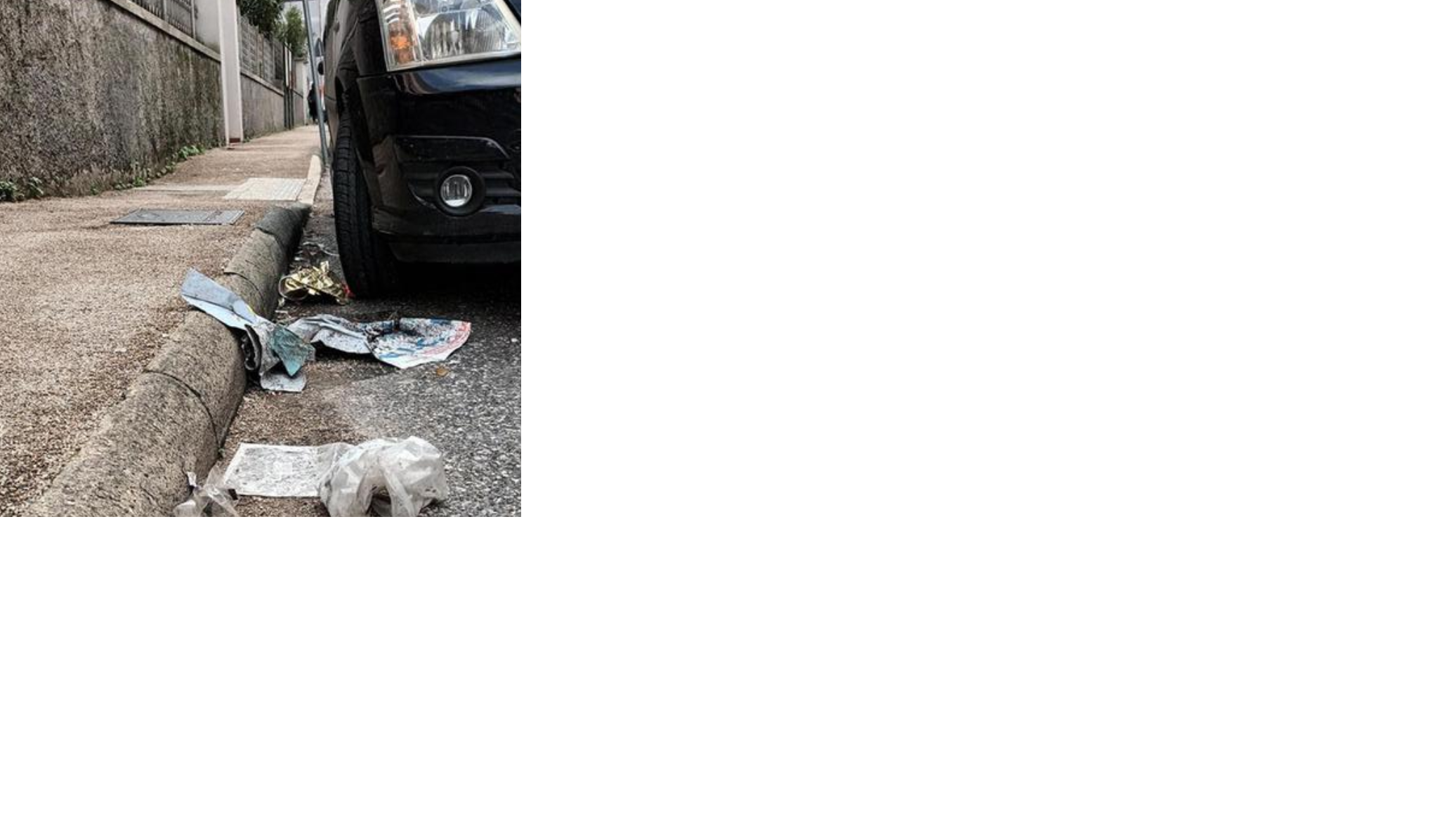Massa, «Quanta sporcizia in via Palestro»<br>
