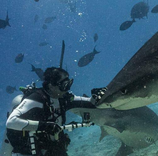 «Ecco la manta “Bella Ferrara". E sogno una mostra dedicata agli squali»