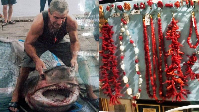 
	Avellino con lo squalo Capopiatto e le collane create dal corallo

