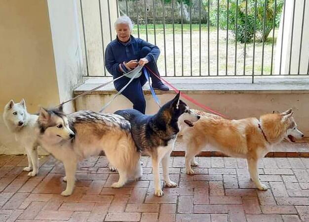 Monica Chiodini con i quattro siberian husk
