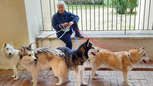 Monica Chiodini con i quattro siberian husk