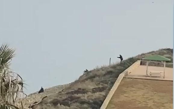 Porto Torres, nuovi guai per il giovane sorpreso a sparare con una scacciacani