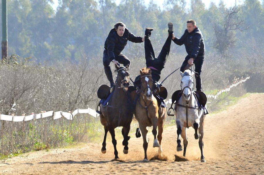 selezioni sartiglia sulla pista di cort_e baccas pariglie