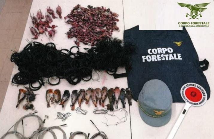 Bracconaggio, sei persone denunciate e mille strumenti di cattura sequestrati dal Corpo forestale nel Sud Sardegna